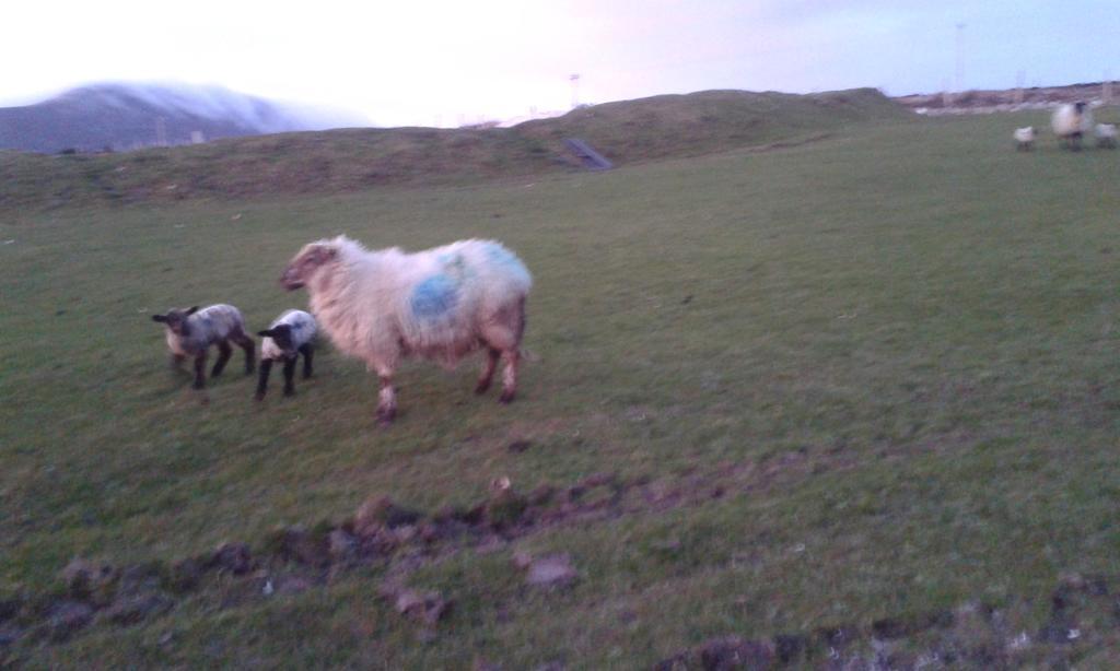Bed and Breakfast Achill West Coast House Dooagh Esterno foto