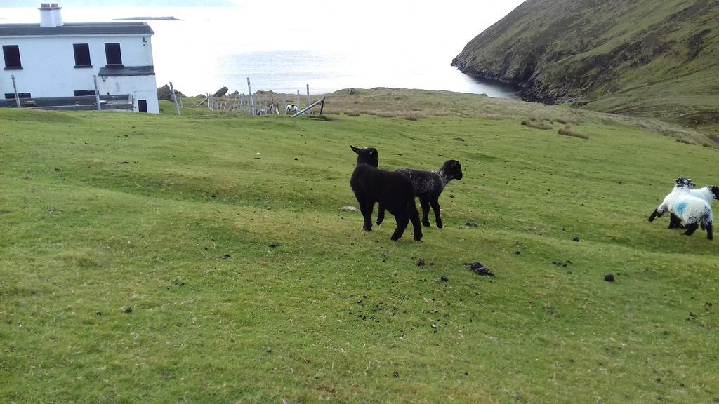 Bed and Breakfast Achill West Coast House Dooagh Esterno foto